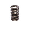 CCA Valve Springs