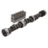 EDE Performer-Plus Camshaft
