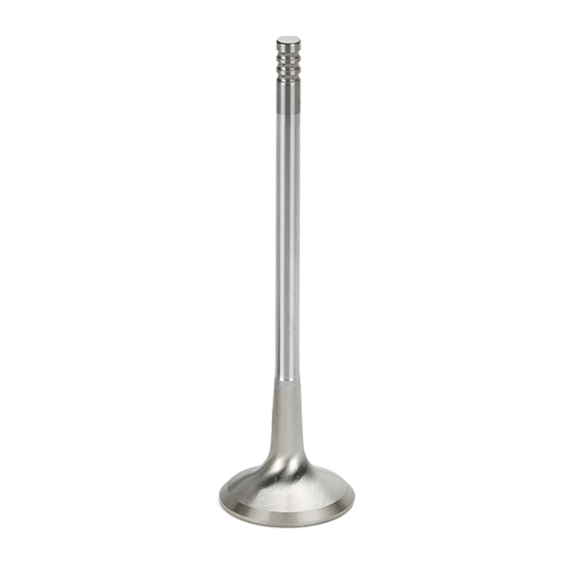 SPT Exhaust Valves