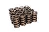 CCA Valve Spring Sets