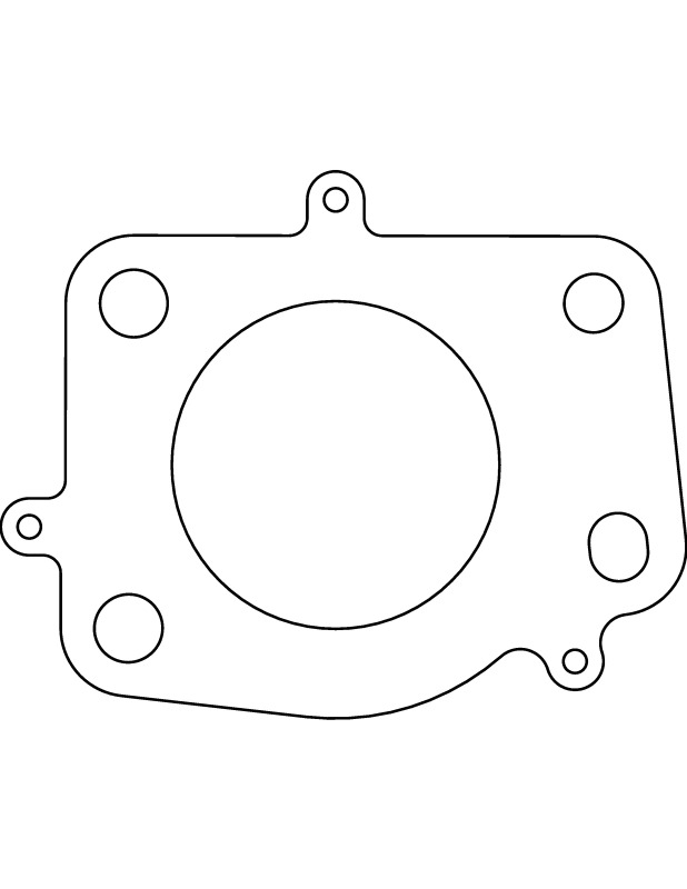 CG Head Gaskets
