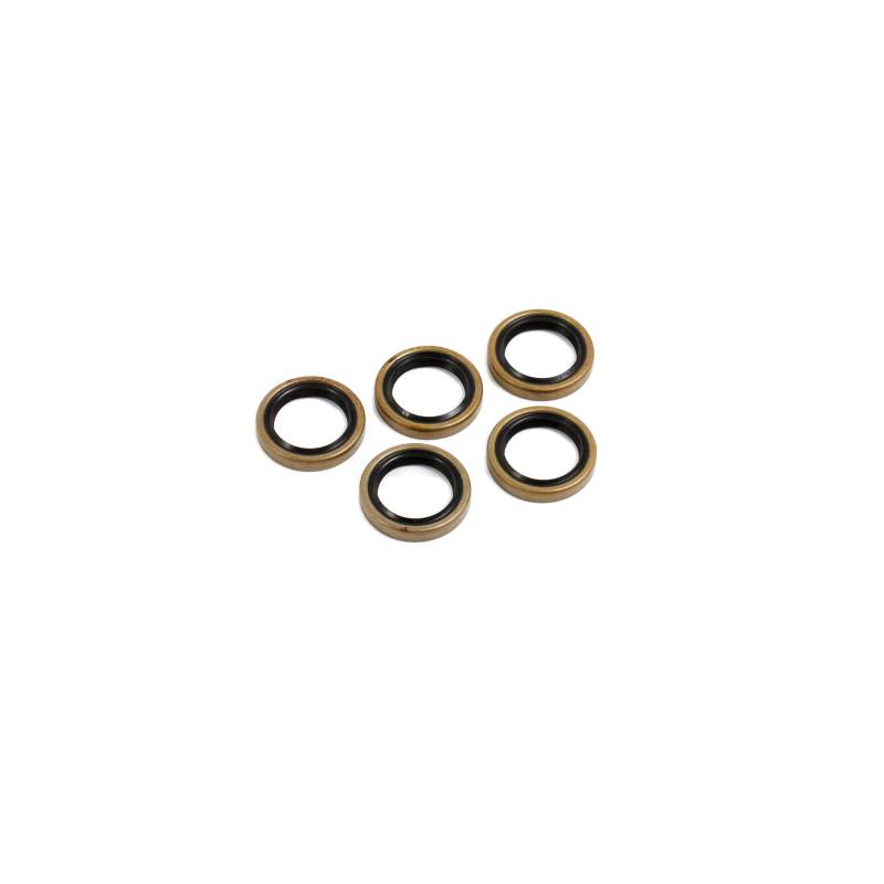 CG Oil Seal Kit