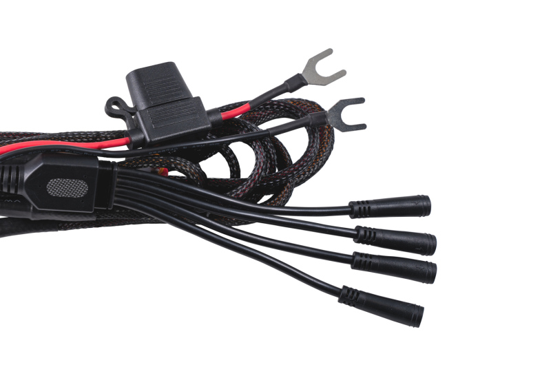 Diode Dynamics Stage Series Rock Light Single Color M8 3-Pin Wiring Harness thumbnail 3