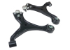 WL Control Arms - Front