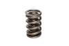CCA Valve Springs