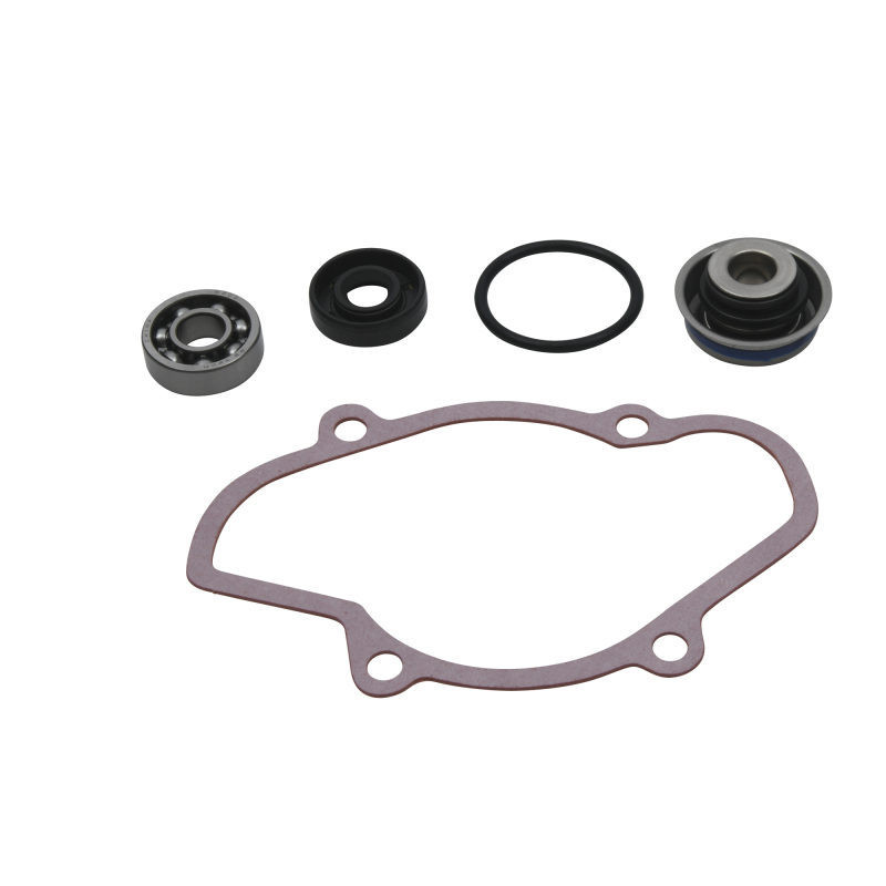 VEP Water Pump Rebuild Kit