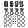 SSC Valve Springs