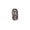 CCA Valve Springs