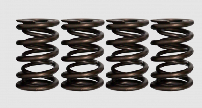 FER Powersports Valve Springs - Sets