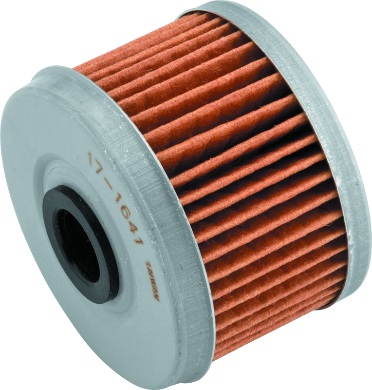 BikeMaster BKM Oil Filters