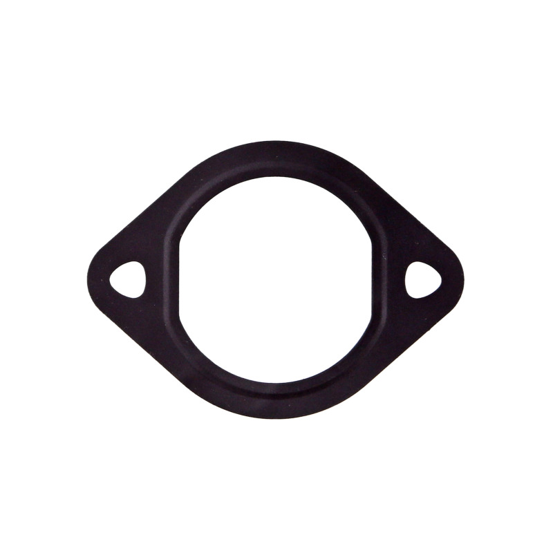 FEL Valve Gaskets