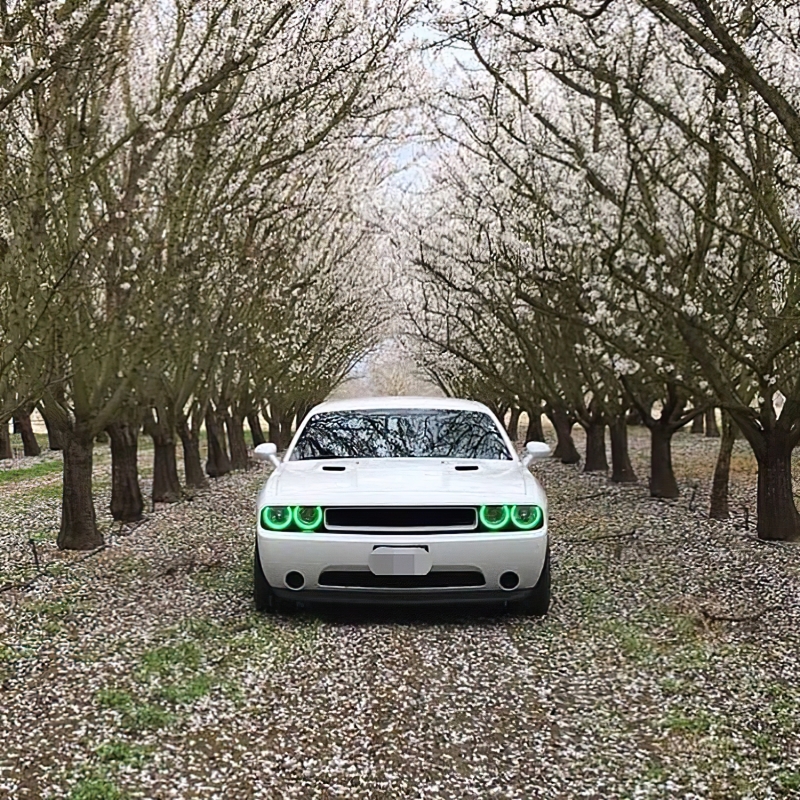 Oracle Dodge Challenger 08-14 Halo Kit (NonProjectorHL) - ColorSHIFT w/ Simple Controller