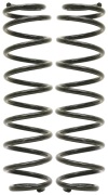 ROK Coil Springs
