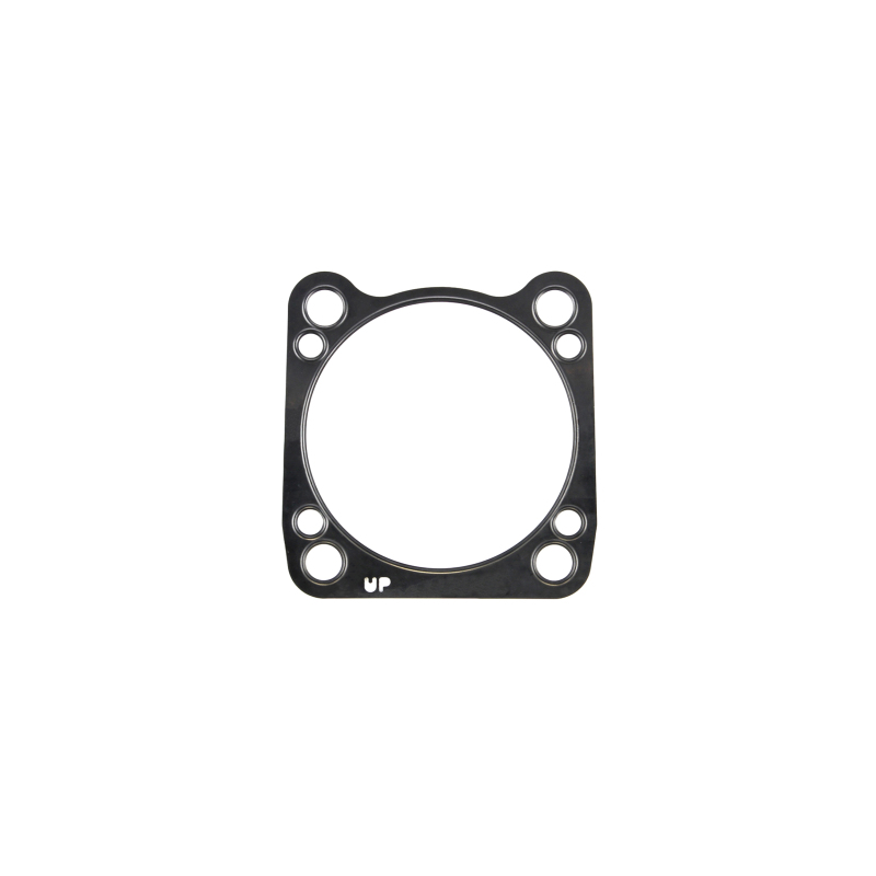 CG Base Gasket