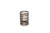 CCA Valve Springs