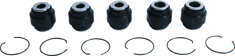 All Balls Racing Rear Ind. Suspension Kit