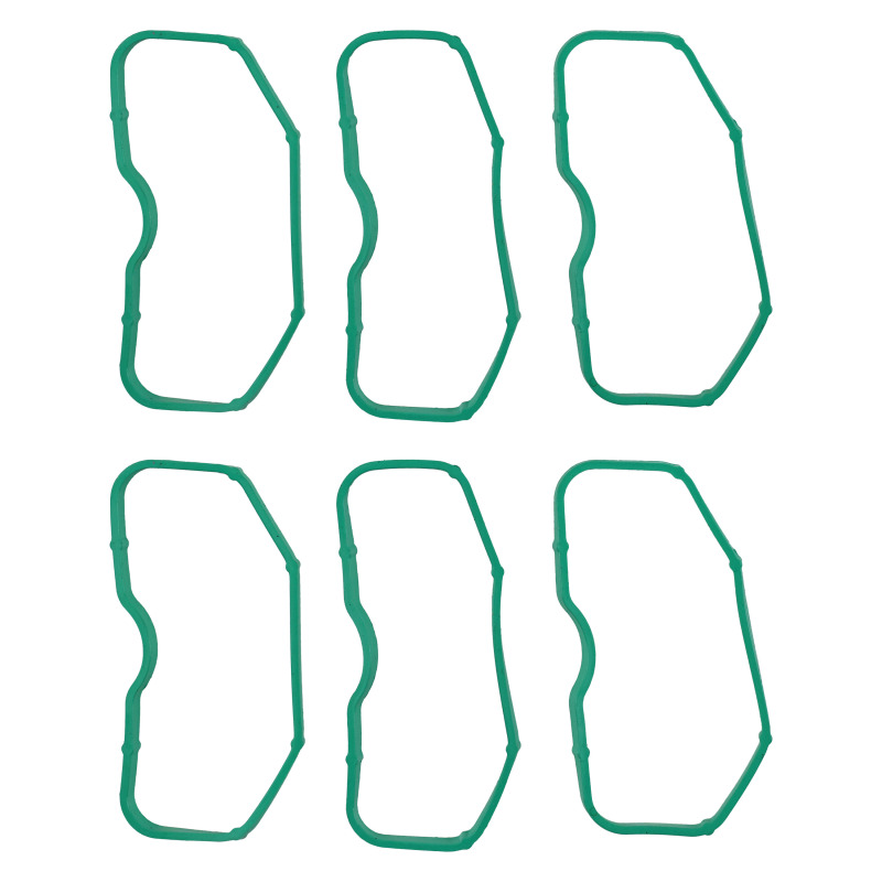 FEL Intake Manifold Gaskets