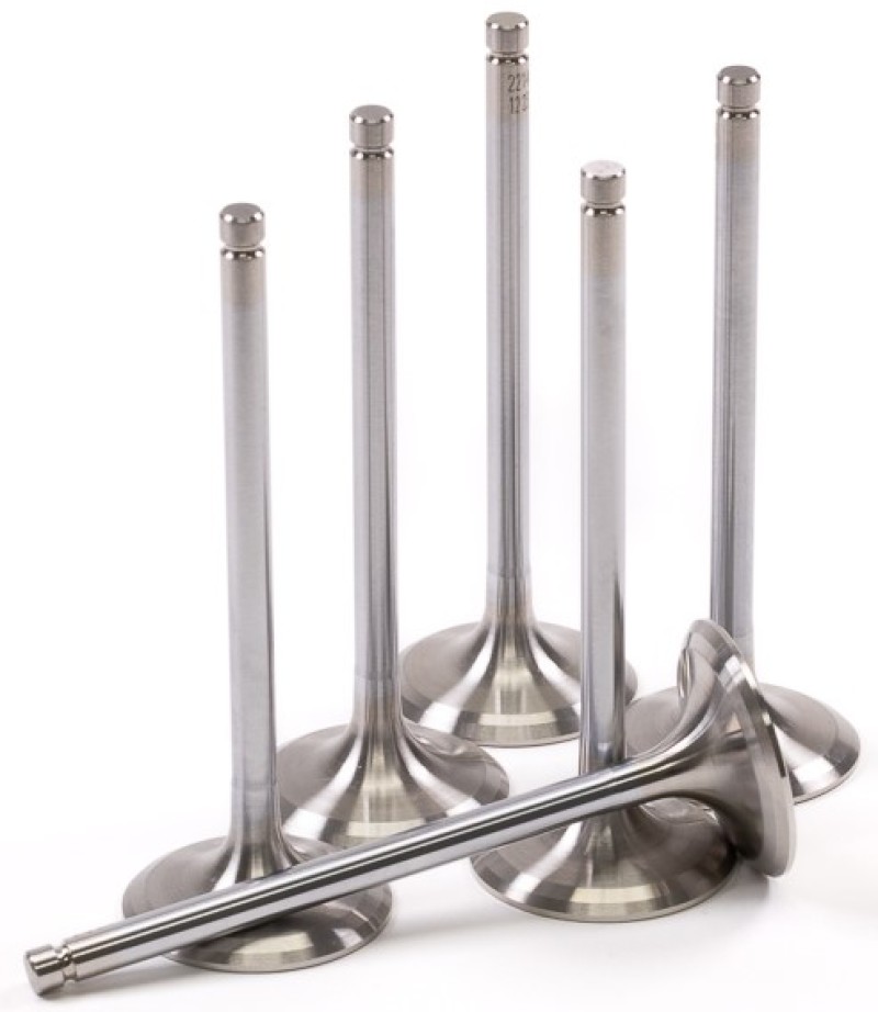 GSC Powersports Intake Valve Sets