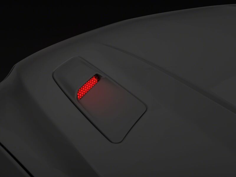 RAX Turn Signals