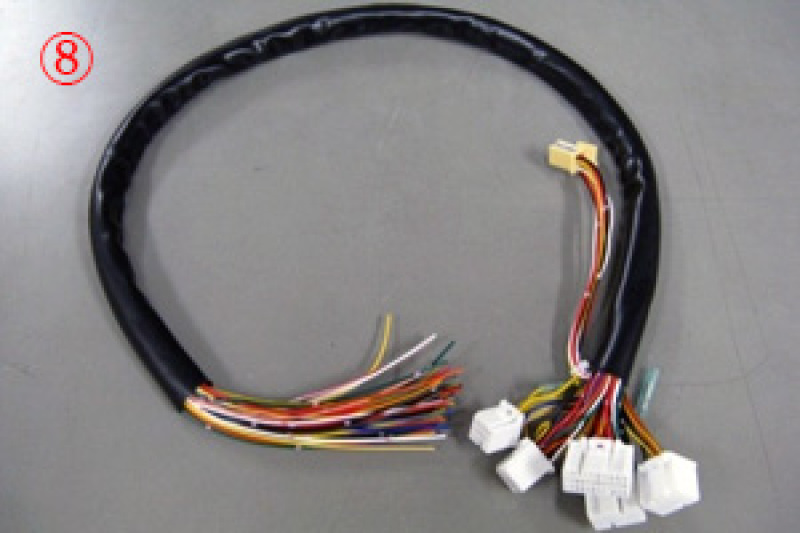 HKS Wiring Harnesses