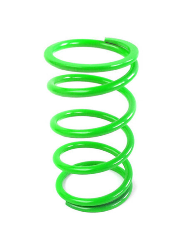 EPI Clutch Springs
