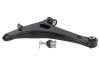 WL Control Arms - Front