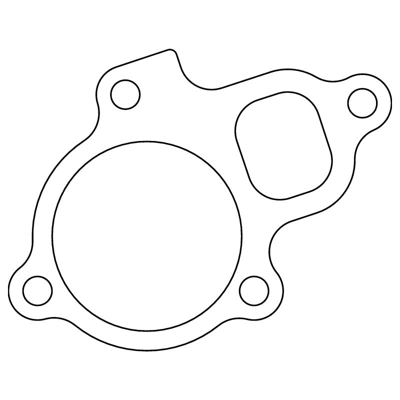 CG Head Gaskets