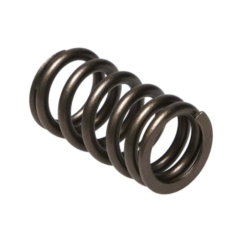 MAN Valve Spring Kits