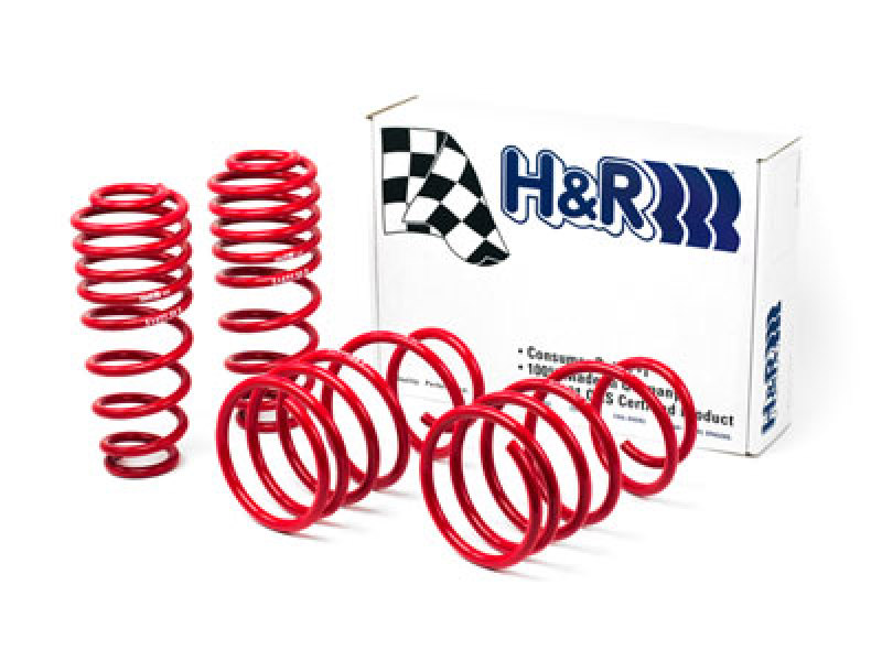 H&R 05-09 Ford Mustang/Convertible/GT/Shelby GT/Shelby GT-H V6/V8 Race Spring thumbnail 4