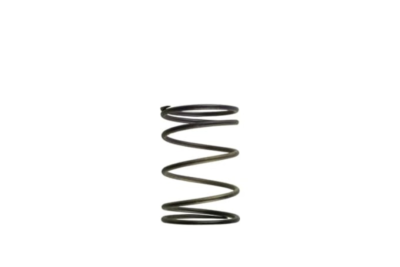TS Wastegate Springs