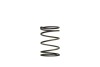 TS Wastegate Springs