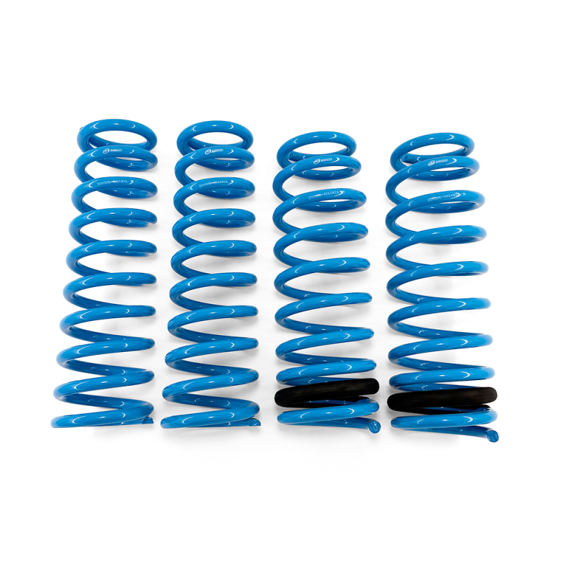 BLOX Racing Lowering Springs 92-95 Honda Civic Del Sol