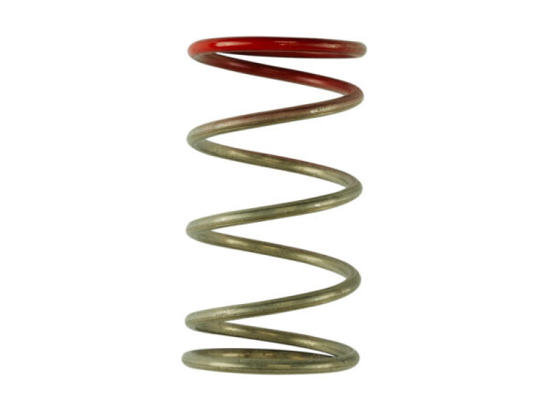 TS Wastegate Springs