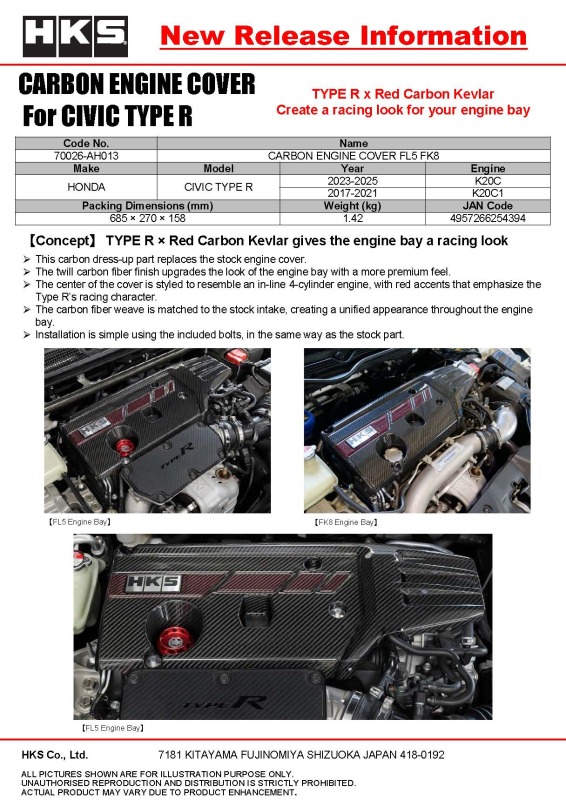 HKS DRY CARBON FUSE BOX COVER FL5