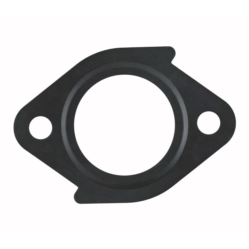 FEL Valve Gaskets