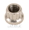 ARP 1/4-28 SS 12pt Nut Kit thumbnail 4