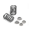 SPT Single Valve Spring Kits