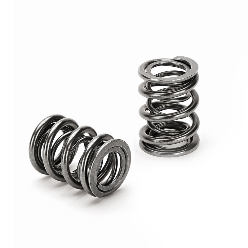 SPT Dual Valve Springs
