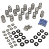 CCA Valve Spring Sets