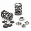 SPT Dual Valve Spring Kits