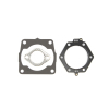 CG Powersports Head Gasket
