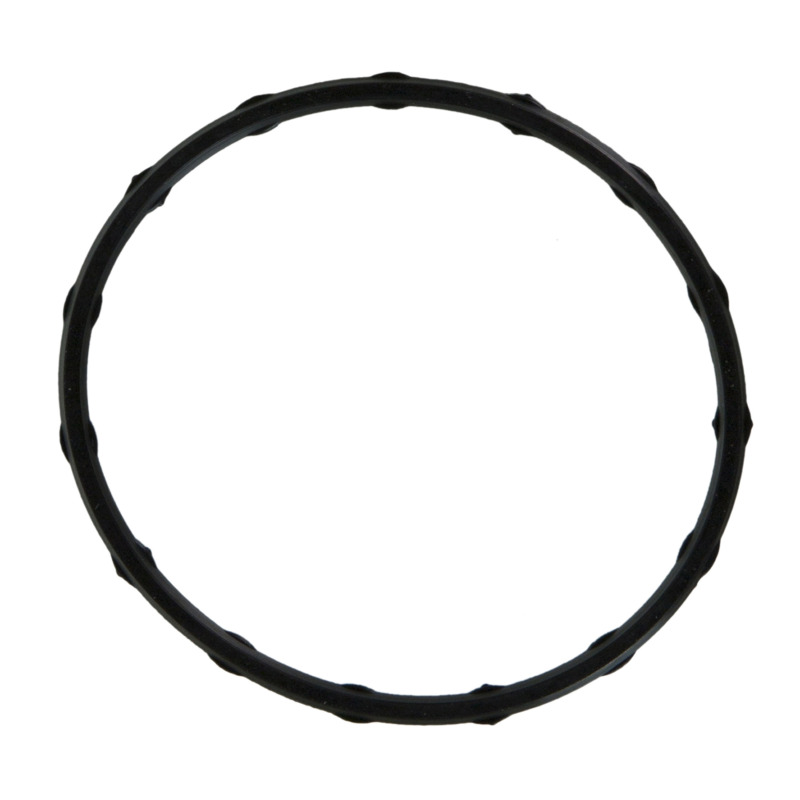 FEL Fuel Injection Plenum Gaskets