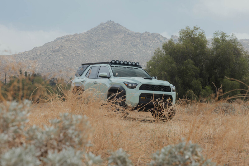 DV8 Offroad 25-26 Toyota 4Runner Exterior Window Molles (Use w/ PN dveRRTF3-02) - Driver & Passenger thumbnail 5