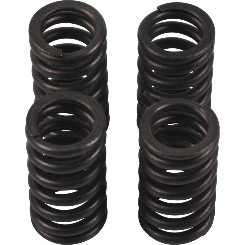 Hot Cams Valve Spring Kit, ea, 1