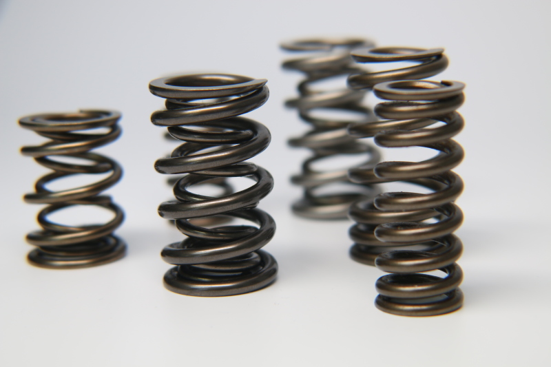 FER Valve Springs - Sets