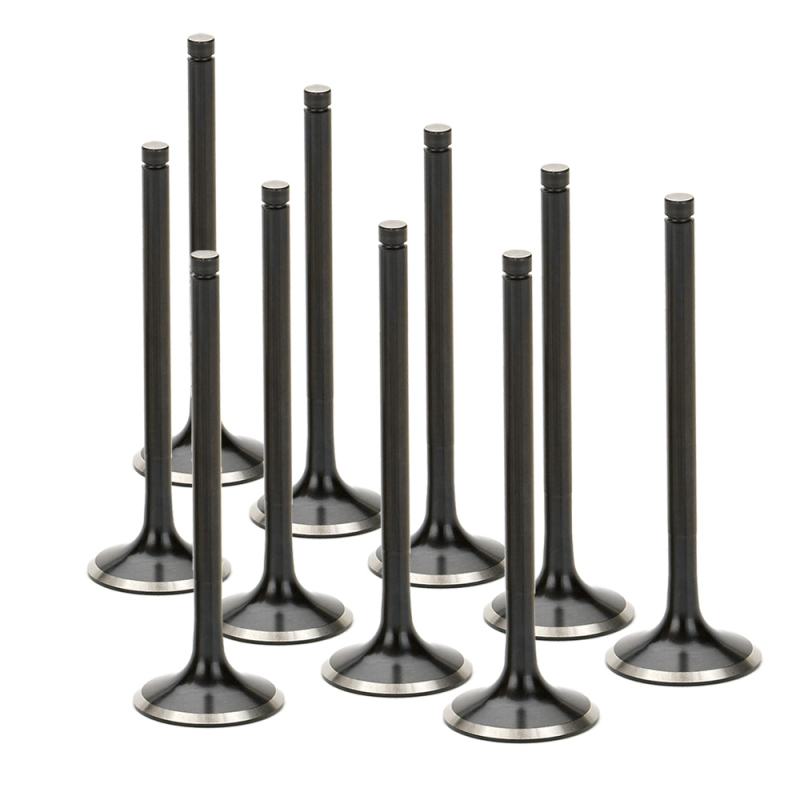 SPT Exhaust Valves