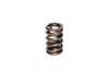 CCA Valve Springs