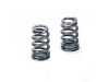 SPT Beehive Valve Springs
