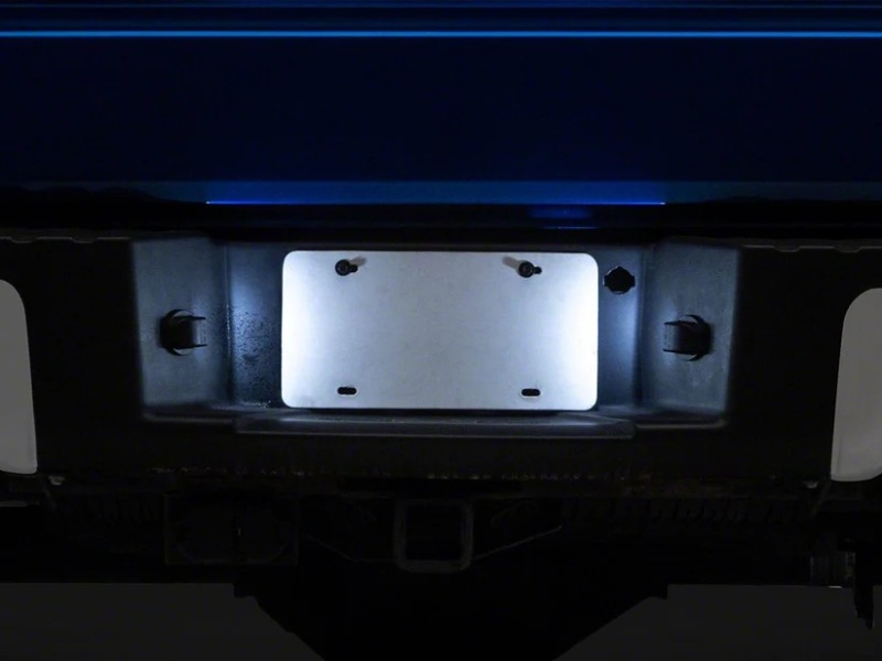Raxiom 04-14 Ford F-150 LED License Plate Lighting- White