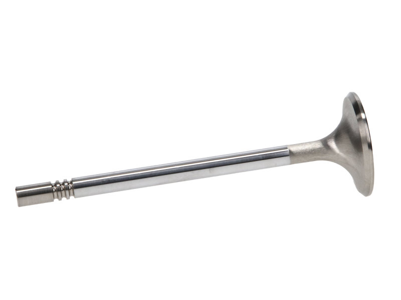 Manley Ford Racing Cylinder Head 4.6L & 5.4L SOHC 36.0mm Race Master Exhaust Valve (Single) thumbnail 4